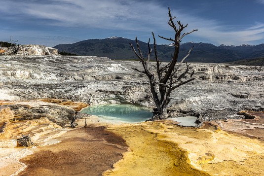 Mammoth Hot Springs im Yellowstone Nationalpark Mammoth Hot Springs im Yellowstone Nationalpark