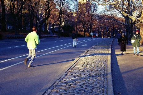 Central Park in New York