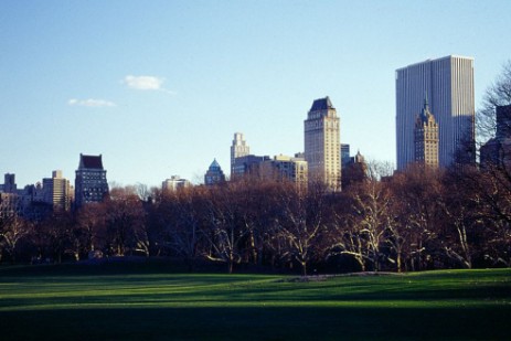 Central Park in New York