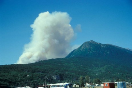 Waldbrand am Lake Bennett