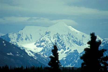 Denali Nationalpark Mount Denali