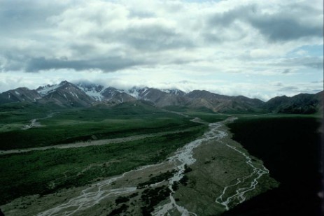 Denali Nationalpark