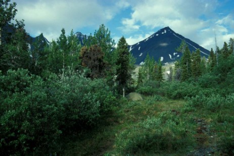 Campingplatz im Kluane Nationapark