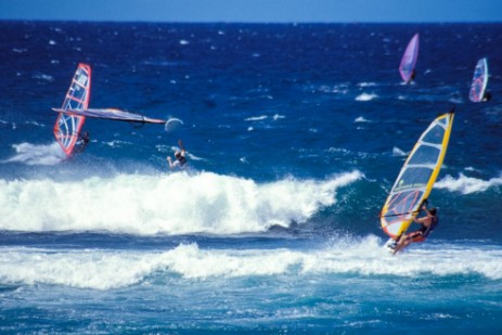 Windsurfer