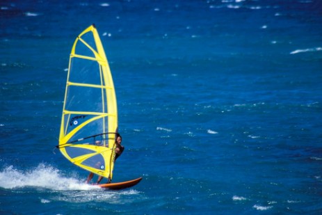 Windsurfer