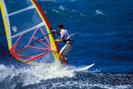 Windsurfer