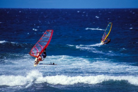 Windsurfer