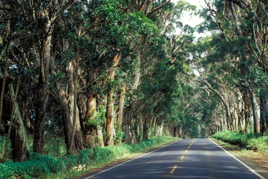 Kauai