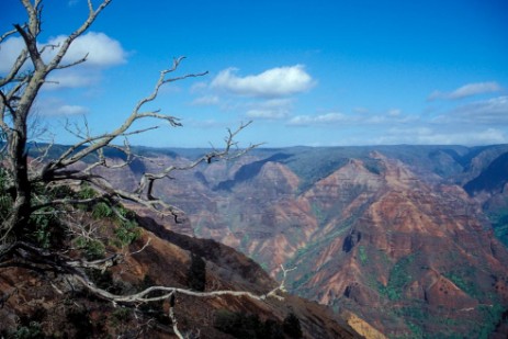 Grand Canyon des Pazifiks